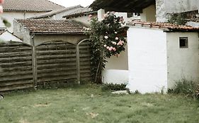 Studio De Plain-Pied Avec Terrasse Et Jardin
